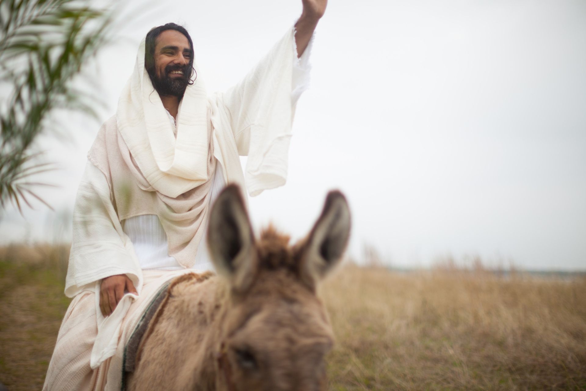 Welcoming Jesus Palm Sunday